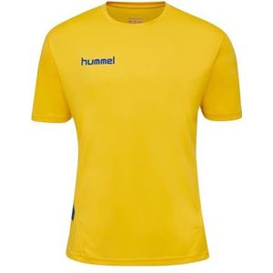 hummel Heren Ensemble Duo Set Track Suit, jaune/blauw marine, XL EU