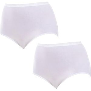 PLAYTEX - Set van 2 Maxi Slips - Wit en Beige - Biologisch Katoen