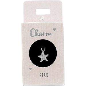 Depesche 11834-040 Bedel ster, verzilverde hanger voor kettingen, armbanden en oorbellen, ideaal als klein geschenk