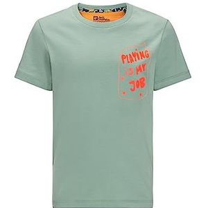 Jack Wolfskin Villi T-Shirt Graniet Groen 92, groen.