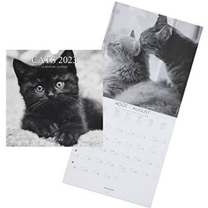 Drager Paris Wandkalender katten zwart en wit 2023 om op te hangen, 29 x 29 cm, 16 maanden, sept 22 tot december 23, 7 talen, kalender kantoor, keuken, huis, plantaardige inkt, FSC®-gecertificeerd
