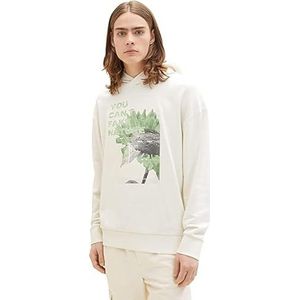 TOM TAILOR Denim Uomini Sweatshirt 1035672, 12906 - Wool White, S
