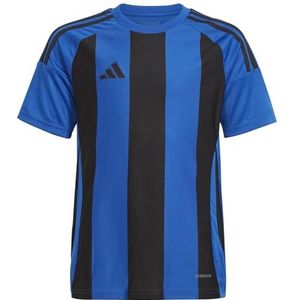 adidas Unisex niños STRIPED 24 JERSEY KIDS, team royal blue/black, 11-12 Years