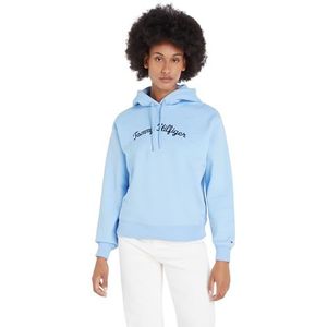 Tommy Hilfiger Dames IM REG SCRIPT HILFIGER HOODIE Pullover Hoodie, Vessel Blue, XXS, Vessel Blauw, XXS