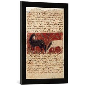 Ingelijste 14e eeuw De wonderen van de schepping, kunstdruk in hoogwaardige handgemaakte fotolijst, mat zwart 40 x 60 cm