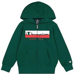 Champion Sweatshirt met capuchon voor kinderen en jongens, flessengroen (Hlg), 5-6 jaar
