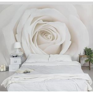 Apalis Rose behang - vliesbehang - bloemenbehang - mooie witte roos - bloemen fotobehang breed | vliesbehang wandbehang wandschilderij foto 3D fotobehang voor slaapkamer woonkamer keuken | grootte