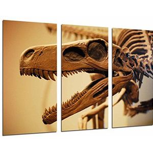 Fotodruk Archeologie, Fosil dinosaurus Rex, bot en tanden, totale grootte: 97 x 62 cm XXL
