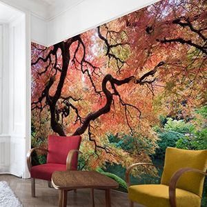 Apalis Bosbehang vliesbehang Japanse tuin fotobehang bos breed | vliesbehang wandbehang muurschildering foto 3D fotobehang voor slaapkamer woonkamer keuken | meerkleurig, 94952