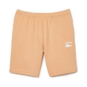 Lacoste GH9875 Shorts, LED, 6XL mannen, Ledge, 5XL