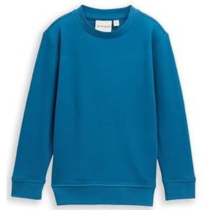 TOM TAILOR - Sweatshirt - Blauw - Effen - Lange Mouw