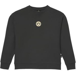 Borussia Dortmund BVB Type Crewneck Grey Pullover voor dames, grijs, 3XL