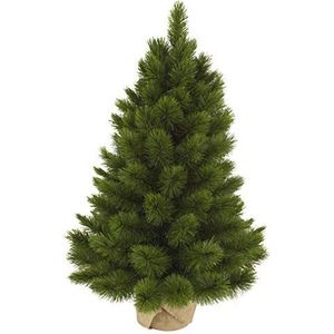 Triumph Tree Camden kerstboom met Burlap tips 58-h60xd43cm, groen, 60