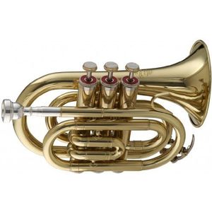 Stagg WS - TR245 Bb Pocket Trompet met Case