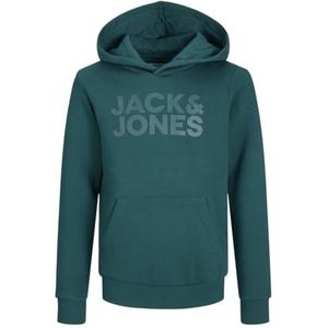 Jack & Jones Corp Logo Hoodie Junior