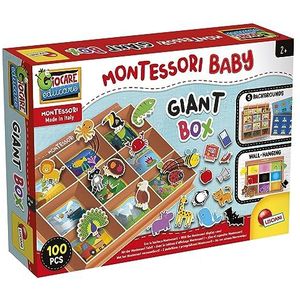 Lisciani Montessori Reuzenbox, educatief spel, verwisselbare achtergrond, vele activiteiten, classificatie van objecten, voor kinderen vanaf 2 jaar