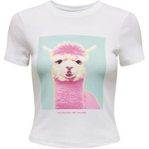 Onlpenny S/S Animal Top Box JRS, wit (bright white), S