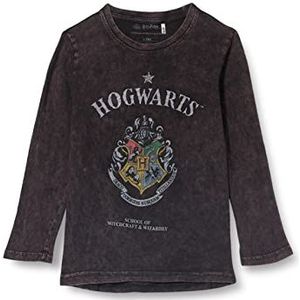 Cerdá T-shirt met lange mouwen merk model lange mouwen single jersey Harry Potter