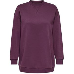 Jacqueline de Yong - Mesa Life - Oversize Sweat - Lange Mouwen - Ronde Hals