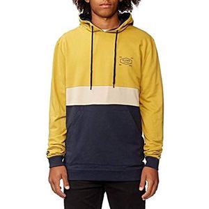 Globe Sweatshirt met capuchon voor heren