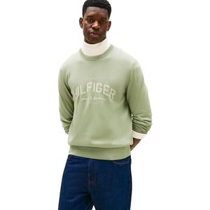 Tommy Hilfiger Heren Brand Identity Crew Neck MW0MW40851 Pullover Sweater, Groen, XL, Groen (Aardsalie), XL