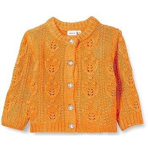 NAME IT Nmflemille Ls Knit Card gebreide jas voor babymeisjes, Harvest Pumpkin, 86 cm