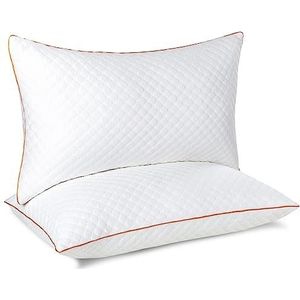 Maxzzz Bamboo Pillows 42 x 70 cm, set van 2, hypoallergene en mijtafstotende kussens, verfrissend, met ritssluiting, gemiddelde stevigheid en hoog herstel, voor zij- en rugslaap, 42 x 70 cm