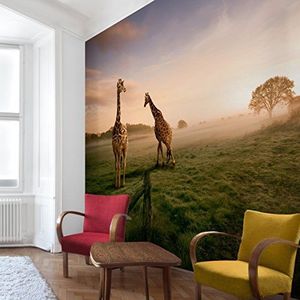 Apalis Vliesbehang Surreal Giraffes fotobehang vierkant | vliesbehang wandbehang wandschilderij foto 3D fotobehang voor slaapkamer woonkamer keuken | Grootte: 288x288 cm, meerkleurig, 95483
