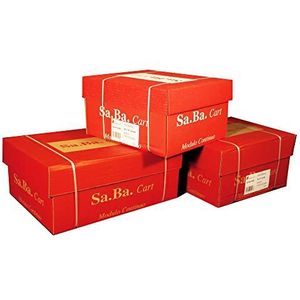 Sa.Ba.Cart S01240126010 Continu papier, 240 mm x 12 inch, 60 g/m2, gelakte piste stapelbaar, 2000 vellen