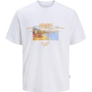 Jack & Jones Joralmeria Stamp Tee Ss Crew Neck, wit (bright white), L