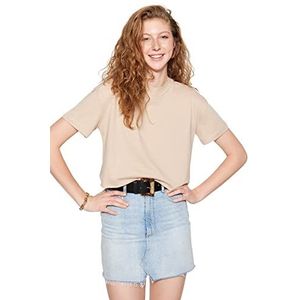 TRENDYOL Vrouwen Basics Regular Fit Basic Hoogsluitende kraag gebreid T-shirt, Rotsen, XS