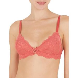 Emporio Armani Dames Dames Triangle Eternal Lace Padded Bra, bruin (cinnamon), XS