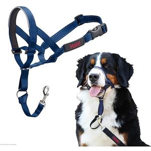 Company of Animals HALTI Halster, om te voorkomen dat uw hond aan de riem trekt. Verstelbaar, reflecterend en licht, met gevoerde neusband, Cobalt Blue, 4