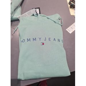 TOMMY JEANS - TJM REG LINEAR LOGO HOODIE EXT - Cloudy Jade Multi - Hoodie