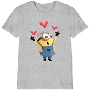 Minion Monsters T-shirt voor jongens, Grijs Chinees, 12 Jaren