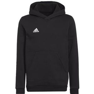 adidas Entrada 22 Sweat Hoodie uniseks-kind Sweatshirt,Zwart,176