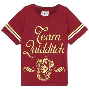 Disney T-shirt, bordeaux, 6 jaar, Bordeaux, 6 Jaren