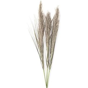 AmeliaHome Pampasgras droogbloemen, olijfgroen, 3 stuks
