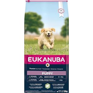 Eukanuba - Kroketten rijk aan lam en rijst voor puppy's van grote rassen - Gevoelige spijsvertering - DHA en calcium - Bevordert de groei, Lam & Rijst 12 kg
