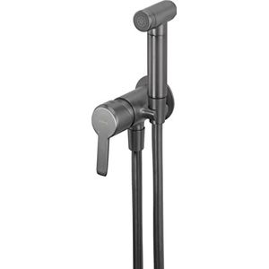 Badkamer bidet kraan die is Mount Under The Gips en met een bidetta-type handdouche van Deante Arnika - Titanium - BQA_D34M