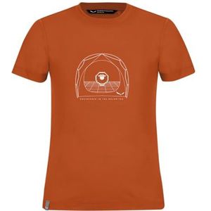 Salewa - Graphic Dry S/S Tee - T-shirt - Orange brûlé