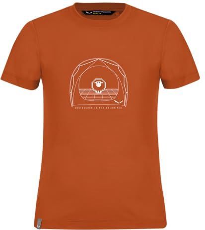 Salewa - Graphic Dry S/S Tee - T-shirt - Orange brûlé