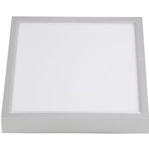 AMARE LED plafondlamp kunststof incl. lamp warm wit, 30 x 30 cm, via wandschakelaar 3-voudig schakelbaar, zilver/wit