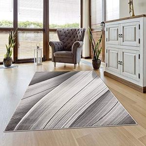 carpet city Vloerkleed woonkamer - golfpatroon 80x150 cm grijs gemêleerd - moderne tapijten laagpolig