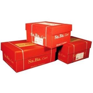 Sa.Ba.Cart S01240127000 Continuous Module, 240 mm x 12 inch, 70 g/m², wit verwijderbaar, verpakking van 2000 vellen