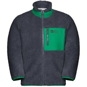 Jack Wolfskin - ICE CURL JACKET - Fleecejack - Phantom