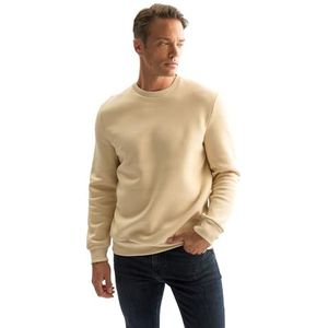 DeFacto Heren Bequeme Sweatshirt Herren Pullover, Beige, L