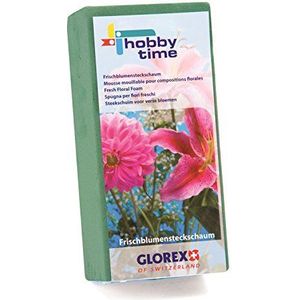 GLOREX 6 3804 721 - Steekschuim voor verse bloemen, absorberende stopmassa voor bloemstukken en decoraties, ca. 23 x 11 x 7,5 cm, groen, afzonderlijk op maat te snijden
