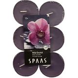 SPAAS 12 Maxi Theelichten Geur, ± 10 uur - Wild Orchid