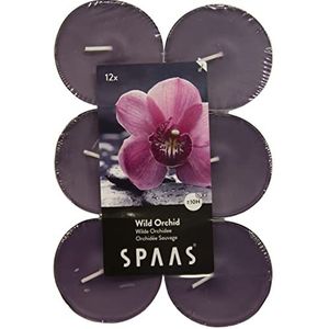 SPAAS 12 Maxi Theelichten Geur, ± 10 uur - Wild Orchid